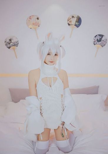 肥猫寻亲记第一部免费观看_高清在线播放