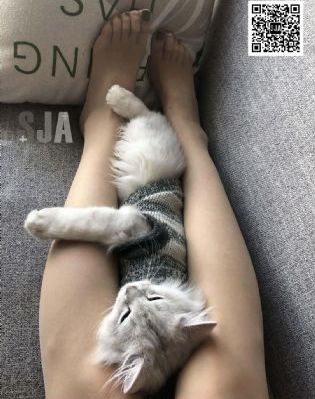 不期而爱泰剧_国语版完整版