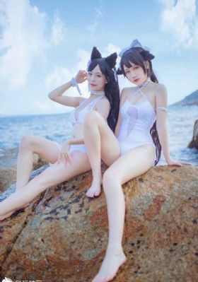 仙台有树40集免费观看简介_蓝光全集免费播放