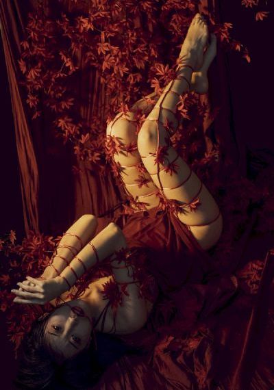 美景之屋二_BD免费观看